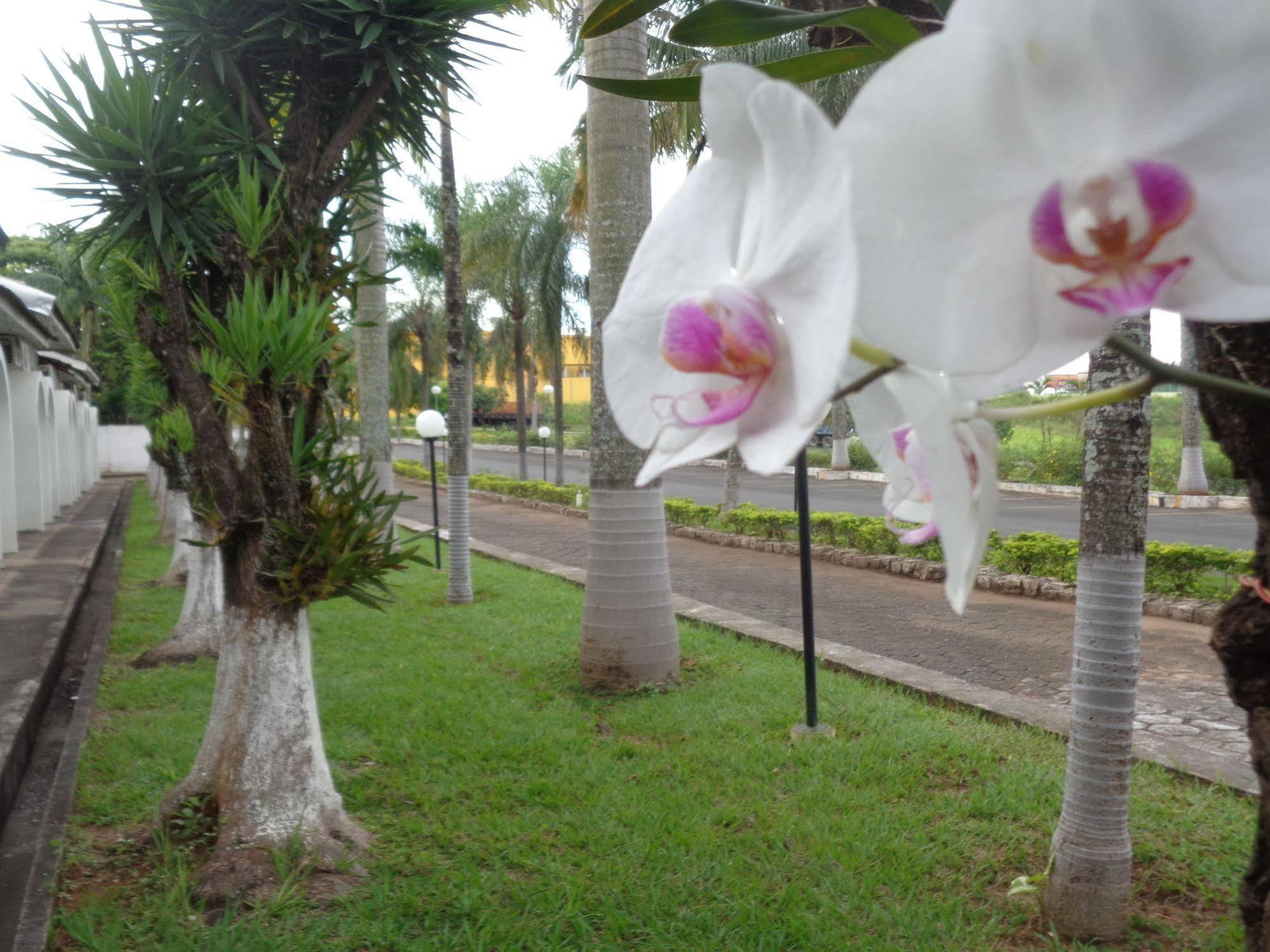 Rio Claro Plaza Hotel Exterior photo